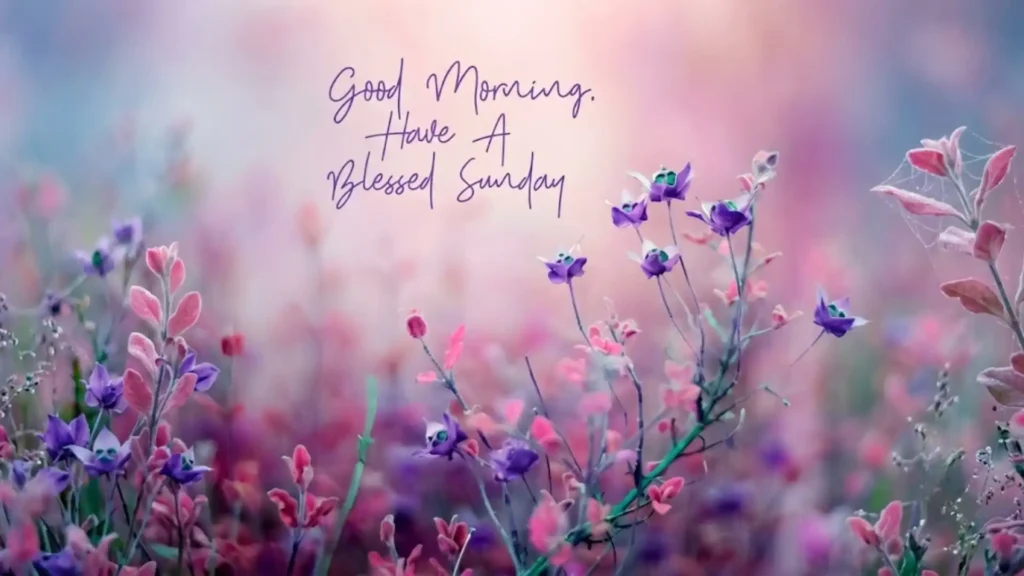 Good Morning Sunday Blessings Images And Quotes To Share  