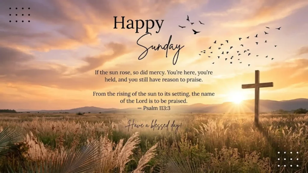 Happy And Blessed Sunday For Everyone